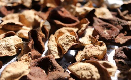 游四方全部视频,游四方四川