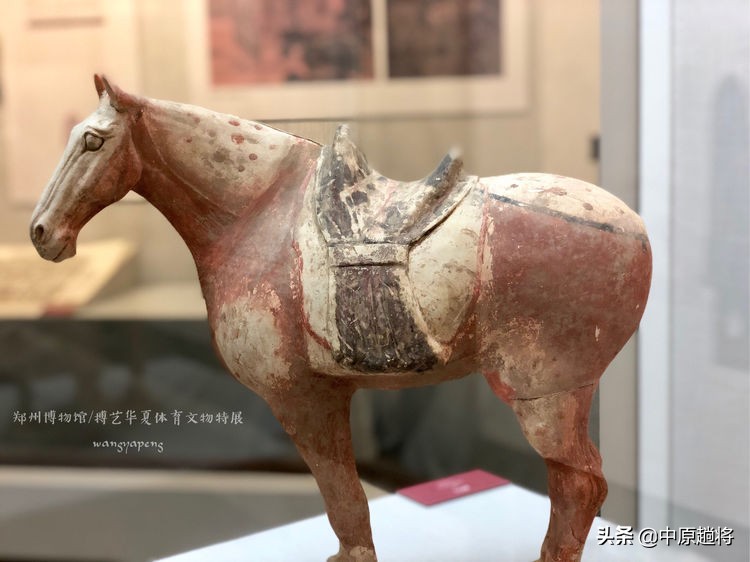 古代的体育运动你知道多少？郑州博物馆看华夏体育*物文**特展