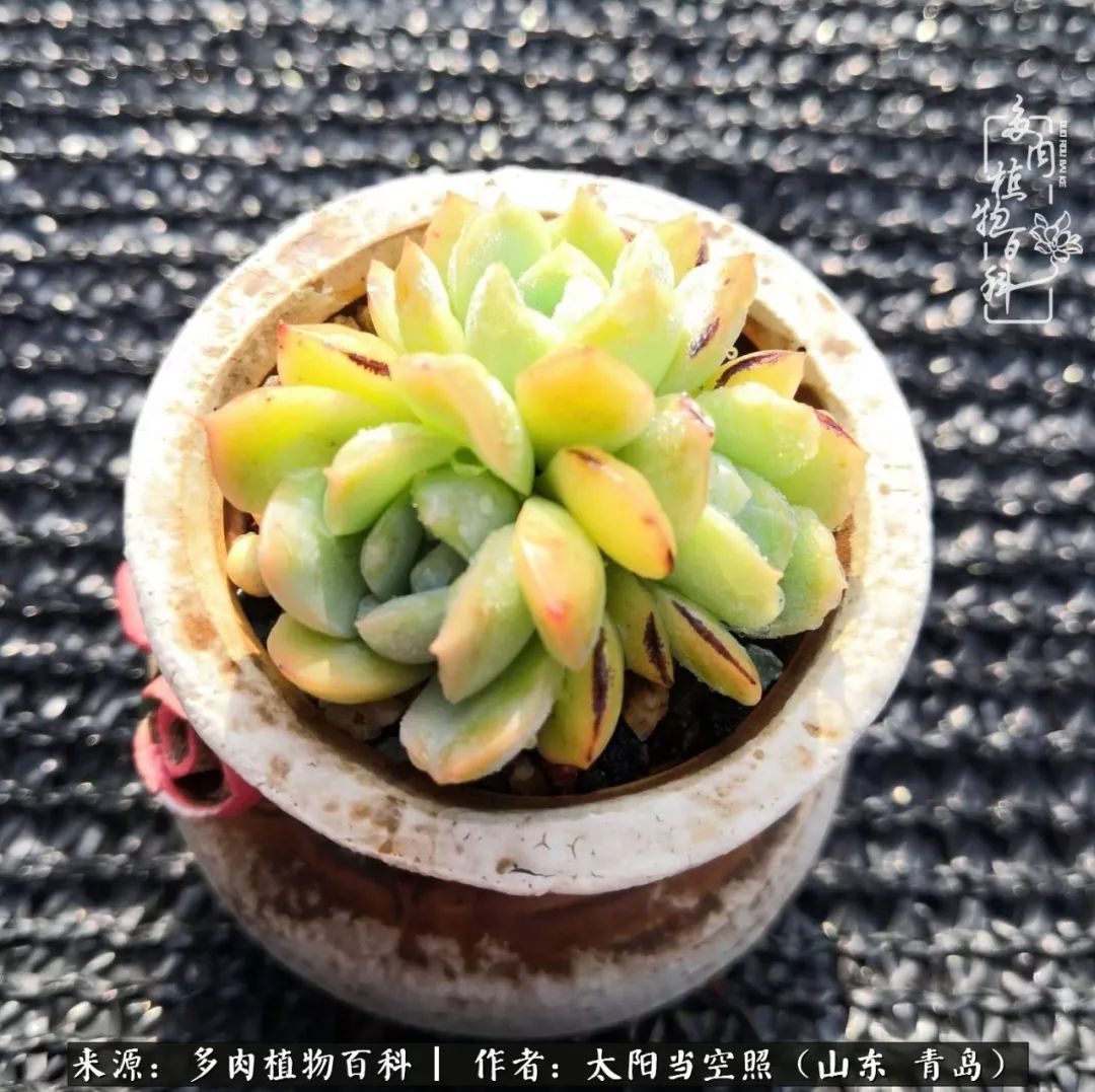 离家在外才发现最难忘的是故乡情,离家在外看见家乡的东西