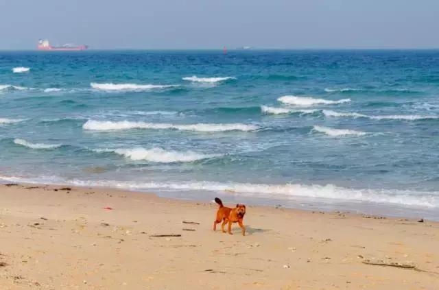 夏季最值得去的绝美海岛,中国风景最美海岛