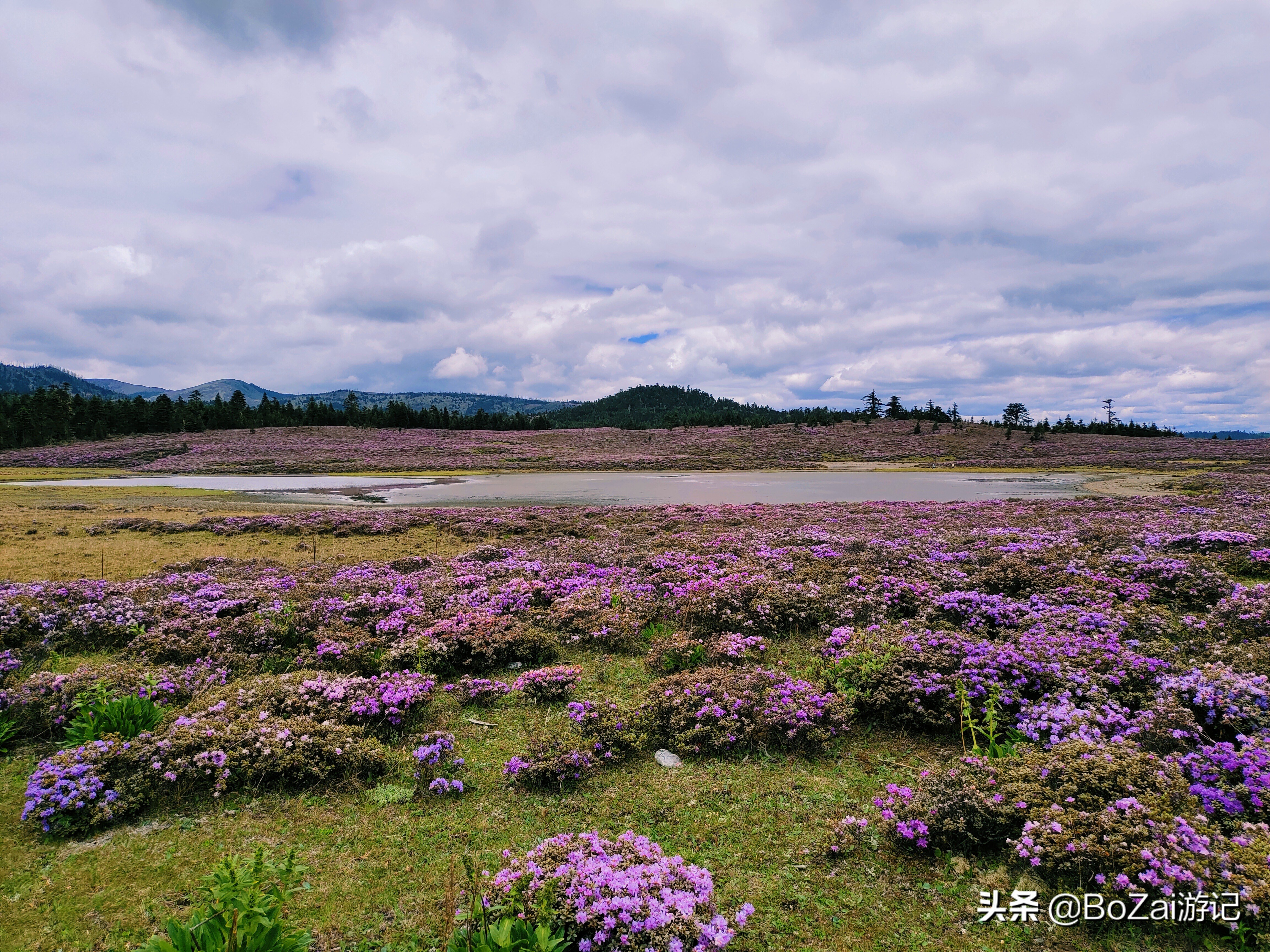 云南迪庆有哪些旅游景点,迪庆最值得去的景点有哪些地方