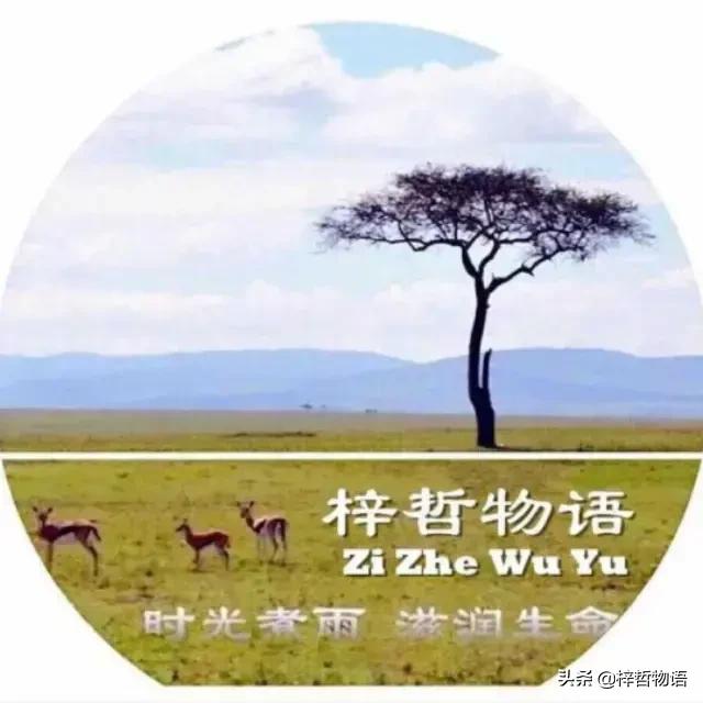 知乎摘录精彩问答56条，读后让人豁然开朗！