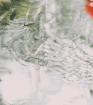 荔湾老店美食排名前十,荔湾区网红餐厅推荐