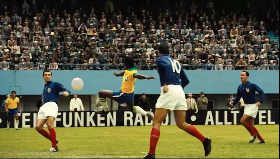 贝利的传奇诞生,贝利传奇的诞生感言