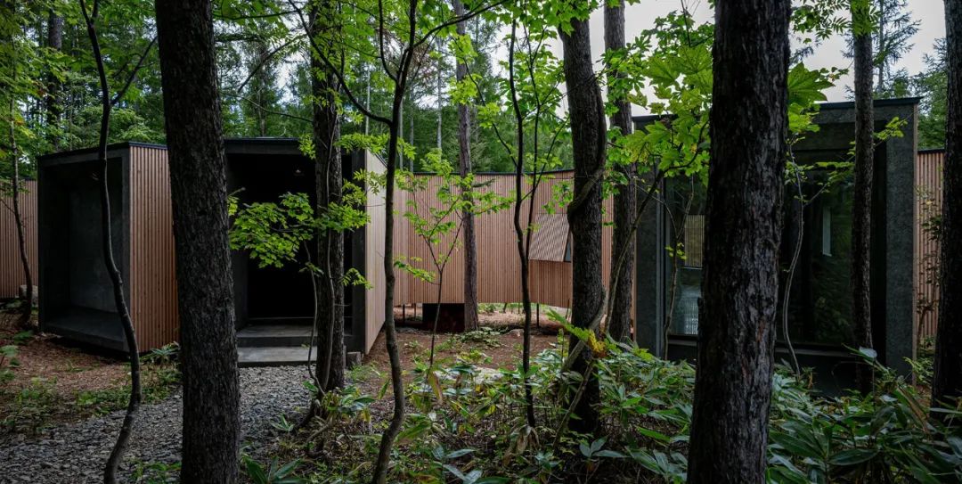 森林屋建筑,林中木屋建筑