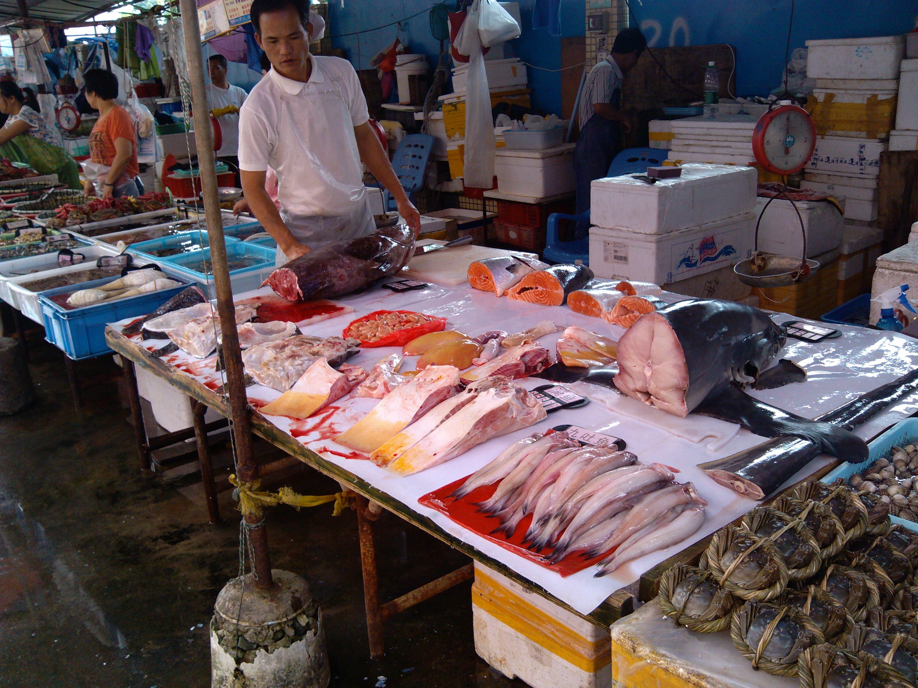 珠海海鲜游,珠海澳门环岛游时间表