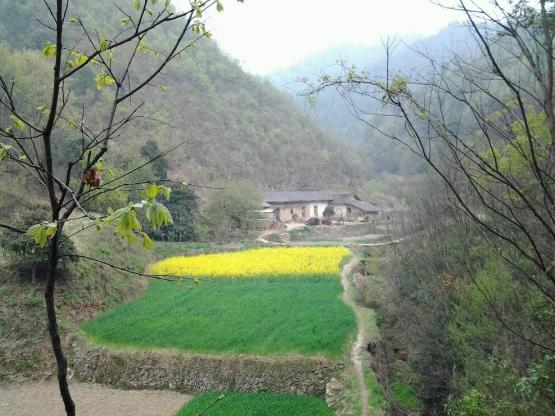 乡情散文乡村烟火味,乡情散文乡恋朗诵