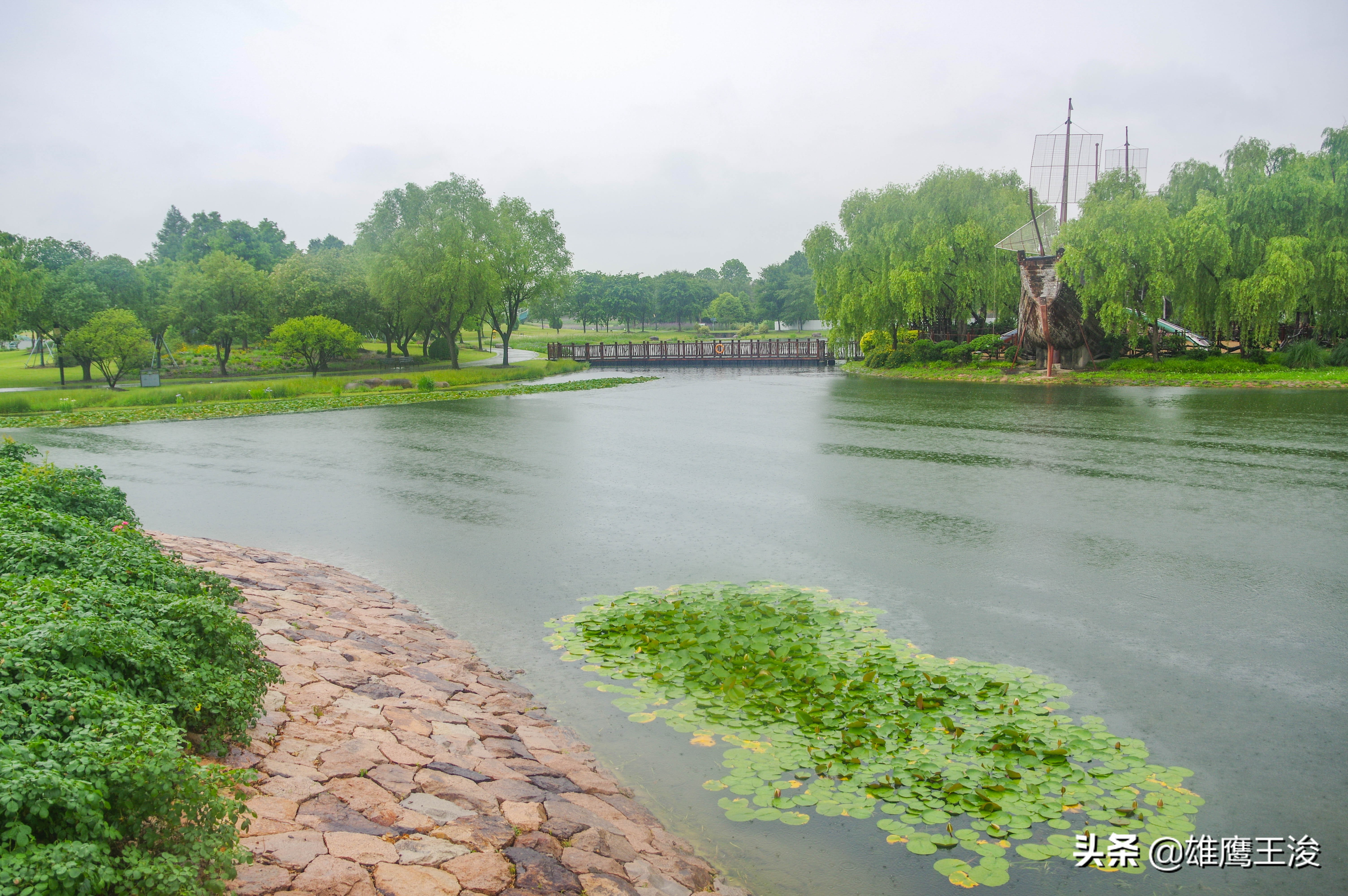 上海旅游必去的10大热门景点,上海最热门的旅游地方
