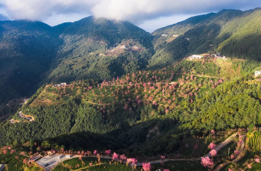 12月旅游最值得去的地方,12月份最美的旅行目的地