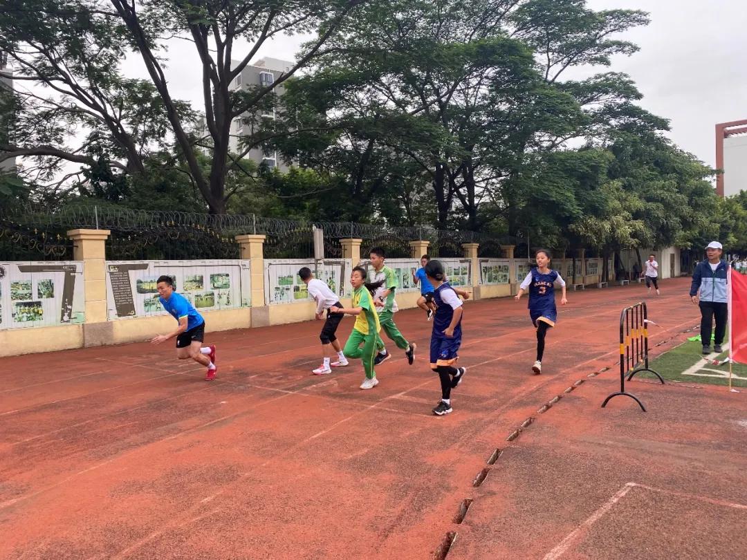 龙腾虎跃展英姿,龙腾虎跃展宏图