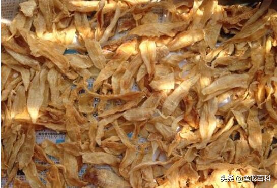 鱼胶花胶的家常做法,鱼胶花胶制作视频