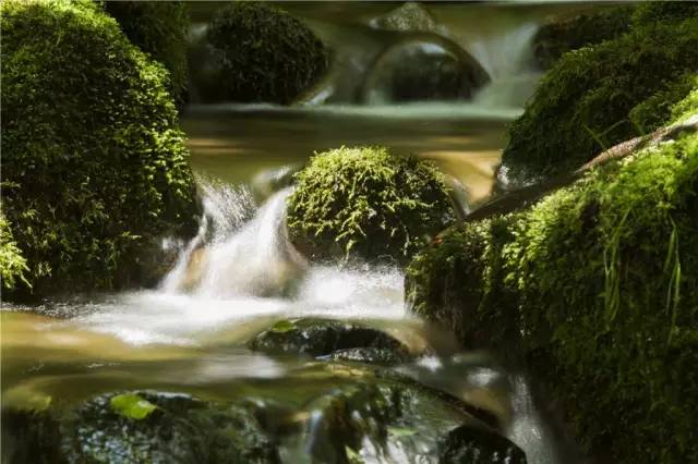 宝鸡附近避暑绝佳的地方,宝鸡十大避暑景点排名第一