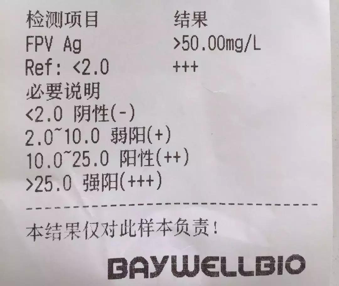 猫德动物医院治猫瘟,福懋动物医院好不好