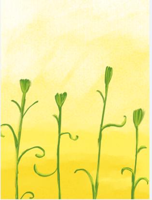 教师节儿童画康乃馨,八岁小孩画简单教师节的绘画