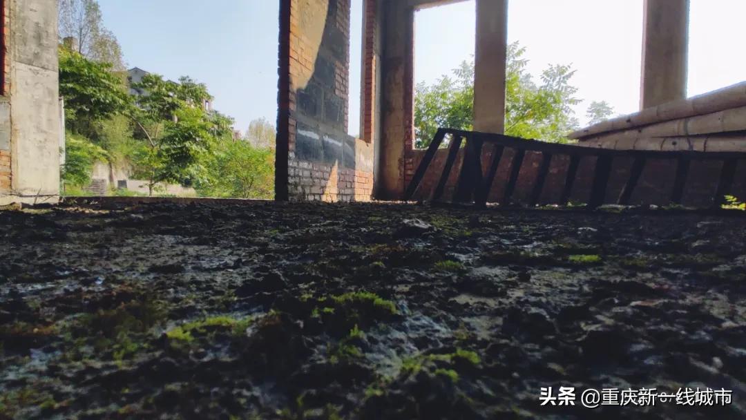 荒野求生之神秘洞穴,荒野求生神秘洞穴