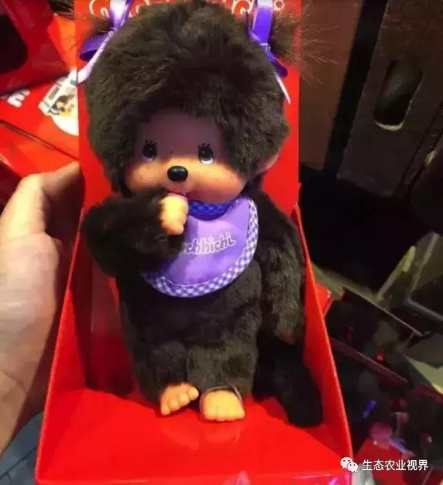 用一颗草莓吸引5百万游客,开5家主题乐园、4家超市、300个草莓屋