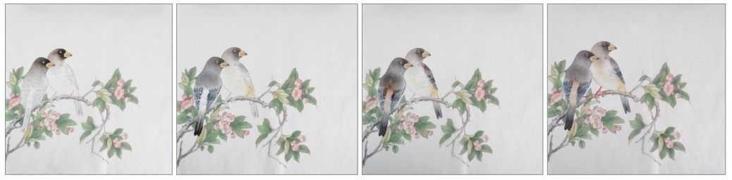 蜡嘴雀工笔画,蜡嘴鸟画画教程