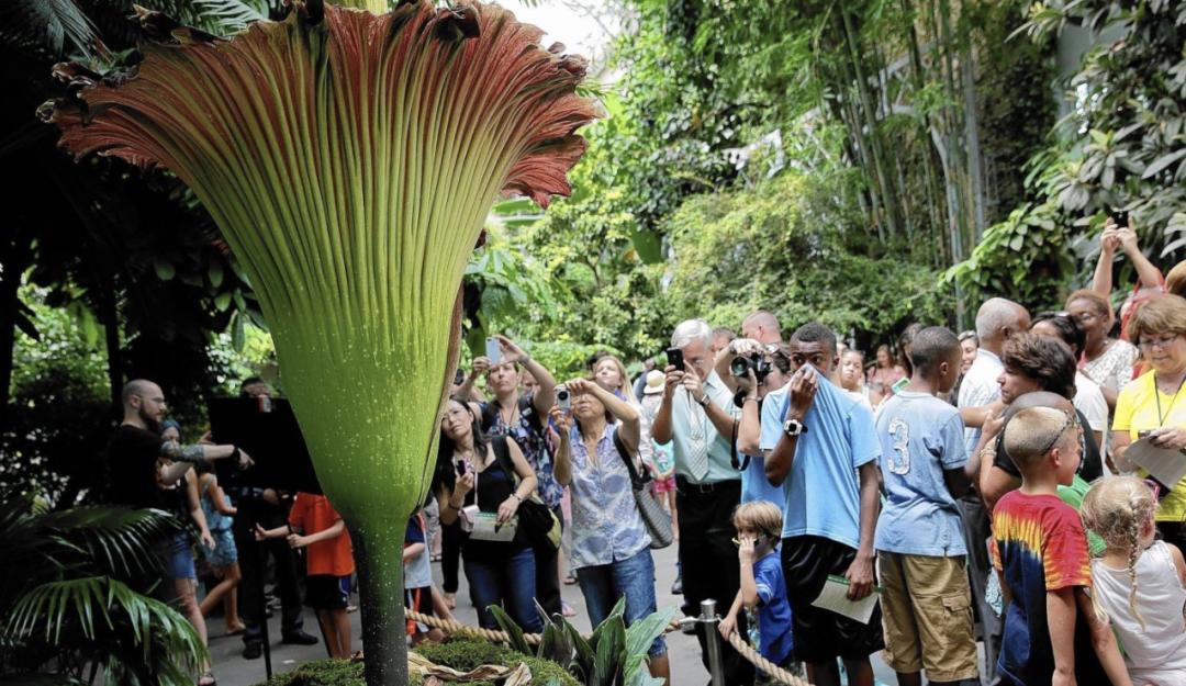 为什么喜欢闻自己的脚臭,狐臭口臭脚臭屁臭