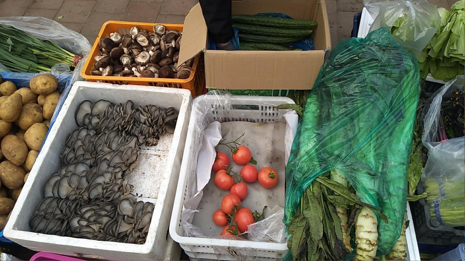 返京人员疫情防疫,抗击疫情医护人员陆续返乡