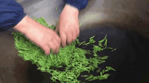 春茶季好茶推荐,2003年春明茶厂金奖沱茶鉴别