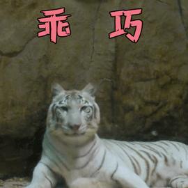 被狗咬狂犬病去世,被狗咬好几年没事还会得狂犬病吗