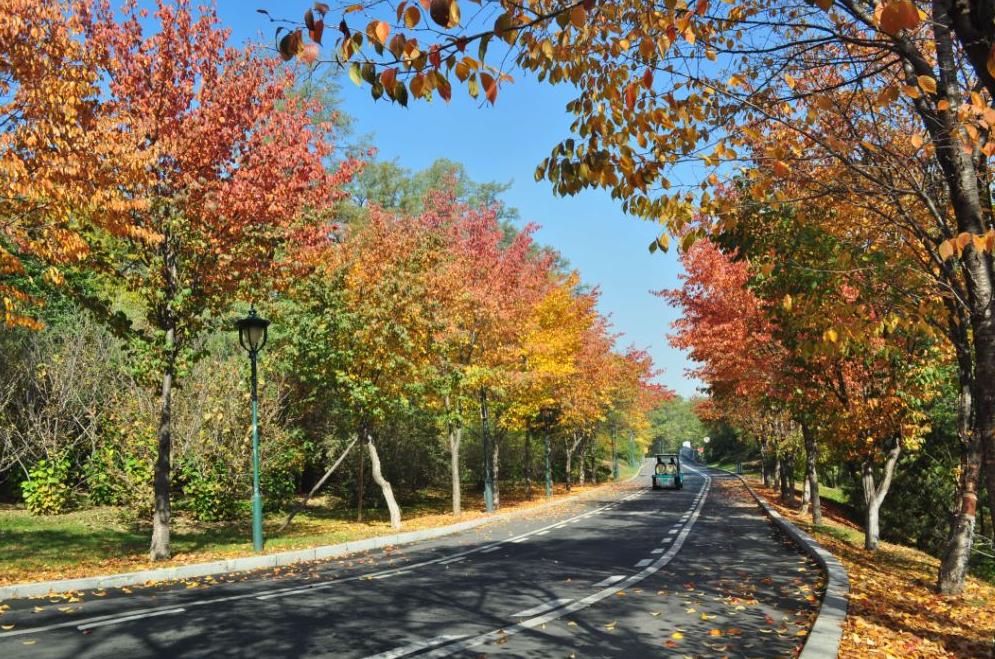 沈阳植物园一日游攻略图,沈阳植物园一日游详细攻略