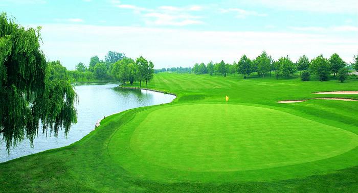 山东青岛高尔夫球场学校,山东青岛高尔夫球