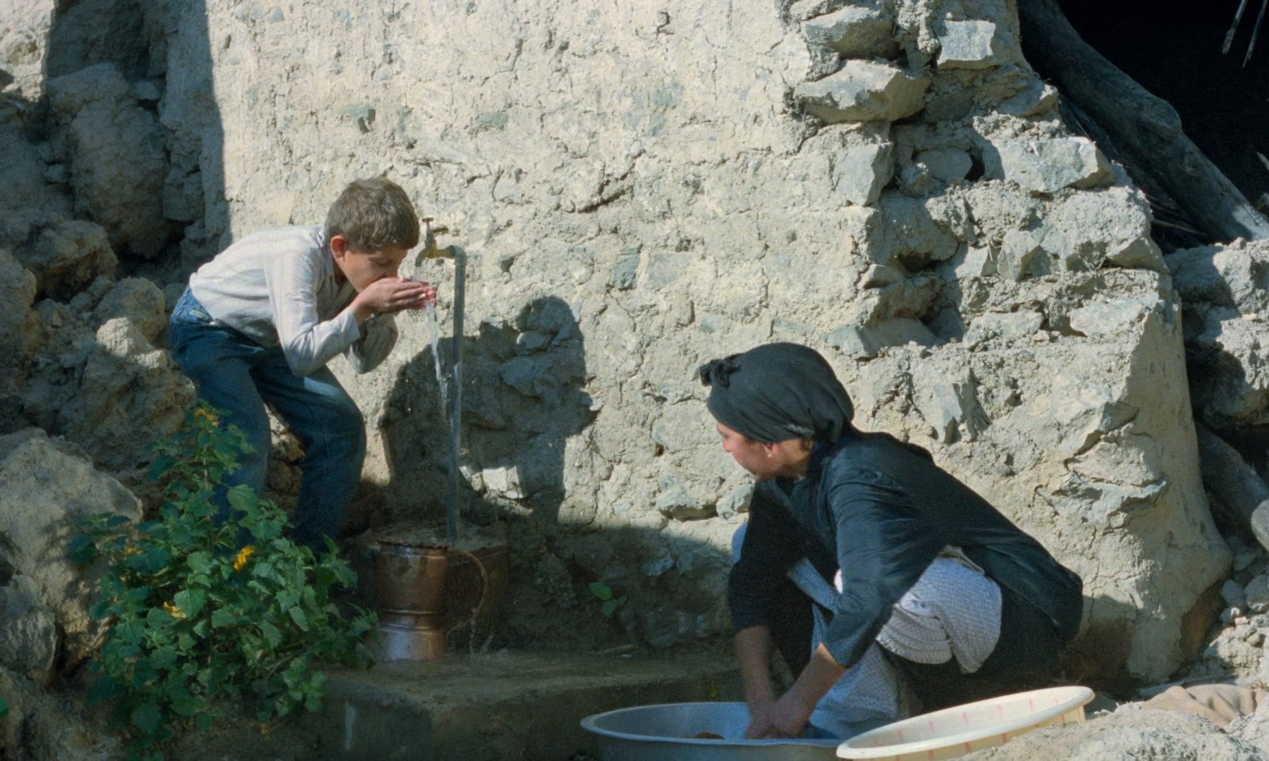 伊朗电影随风而逝想说明什么,伊朗影片生命的源泉