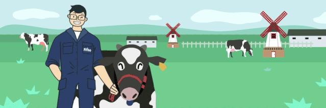 荷兰生活小技巧,在荷兰的生活常识