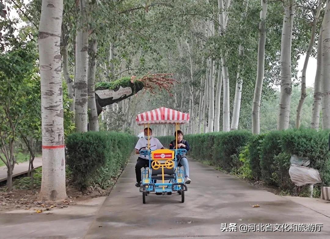 晋州市采摘园一日游攻略,晋州采摘园攻略