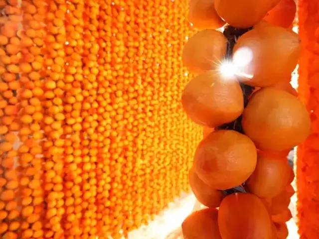 正宗的富平柿饼知识普及，记得收藏