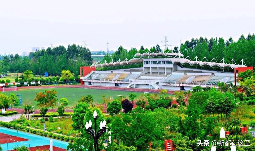 成都市各区教育质量排名,成都市学校升学率排名