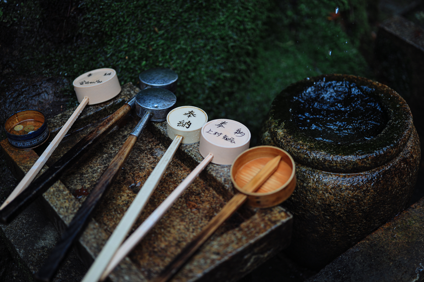 佳能rf50mmf1.8是自动对焦吗,佳能ef50mmf1.8stm标准定焦镜头