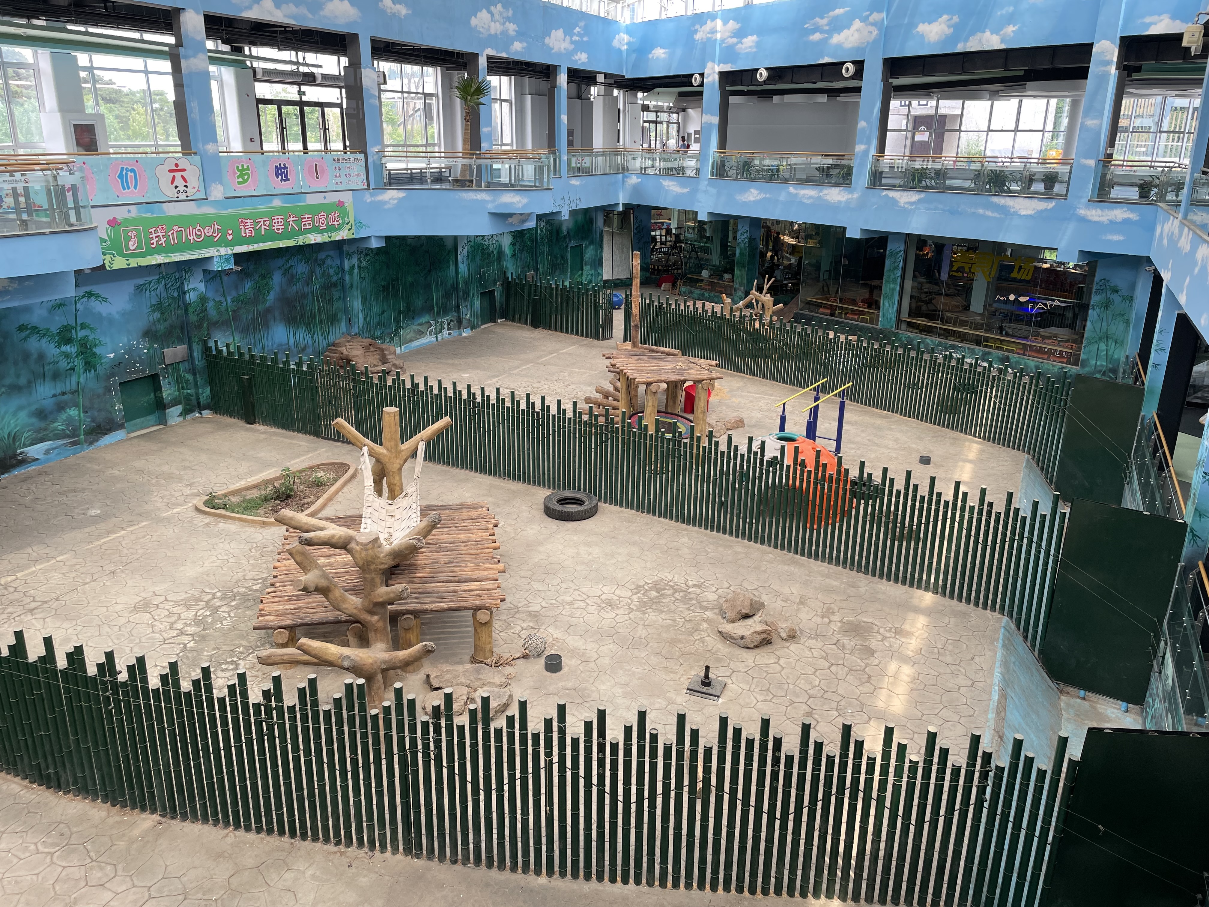 沈阳森林动物园春游,五一小长假去沈阳森林动物园游玩