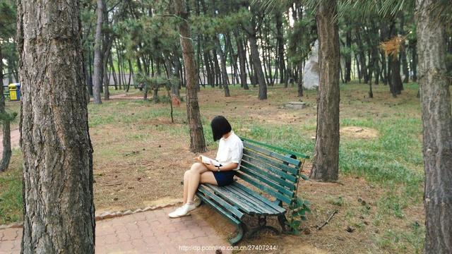 山东大学威海校区,山东大学威海校区录取分数线