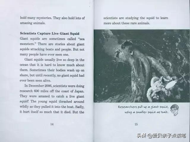 神奇树屋基础和进阶故事一样吗,神奇树屋小百科