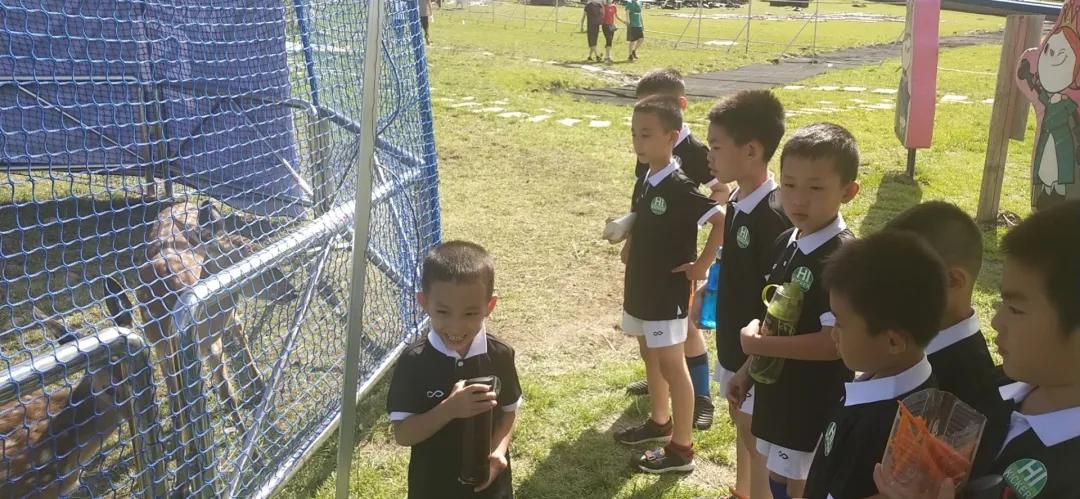 太舞足球训练营,太舞冬季训练营