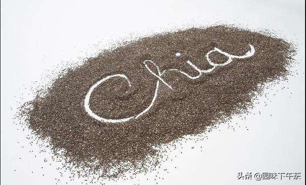 奇亚籽跟亚麻籽哪个更适合减肥吃,奇亚籽真的能减肥吗怎么吃