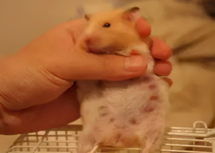 怎么知道她有没有怀孕,怎么知道自己是不是怀孕初期