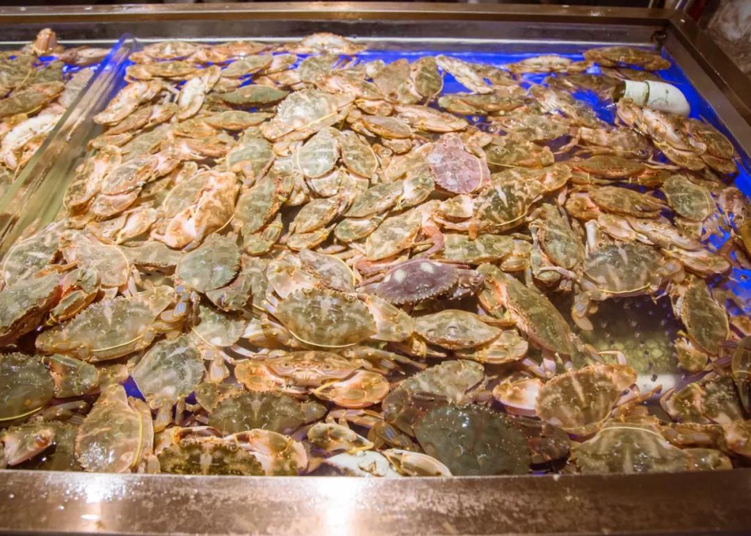 太强了！平价海鲜自助战斗机，0.63元/一道菜