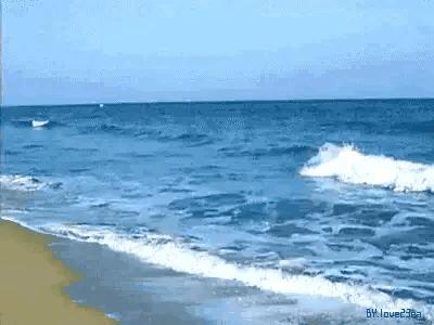 与同事合作要掌握要领不包括,同事之间是合作又是竞争的关系