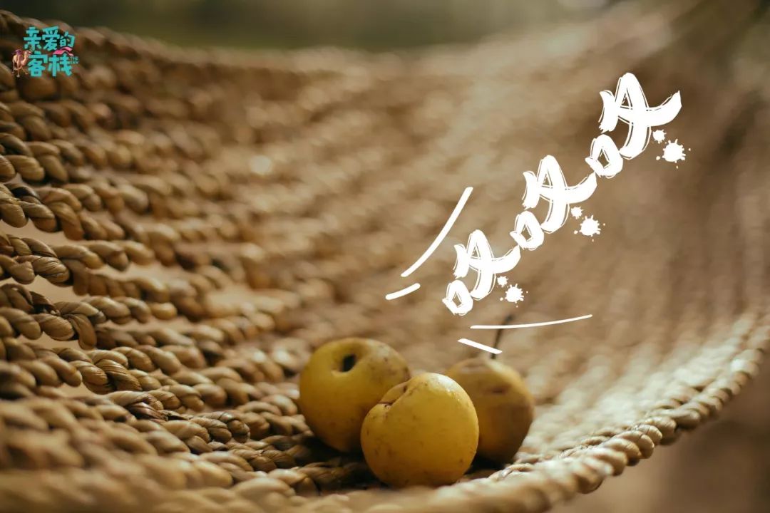 亲爱的客栈3沙漠取景,亲爱的客栈3拍摄地方