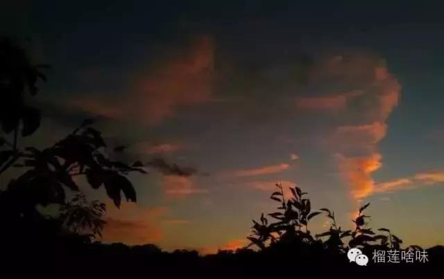 上高二女儿说要打耳洞该怎么劝说,高中女孩想打耳洞