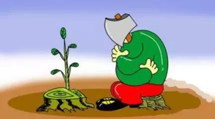 老太太买苹果被骗后续,老太太销售苹果的故事