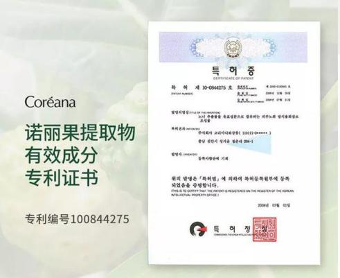 不老女神明星李英爱,51岁李英爱冻龄神颜的原因