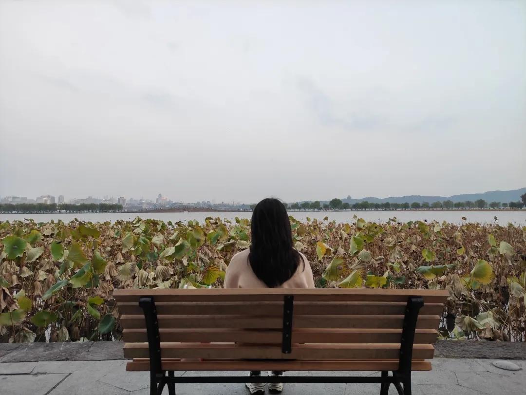 红蜻蜓能飞多高,红蜻蜓动作