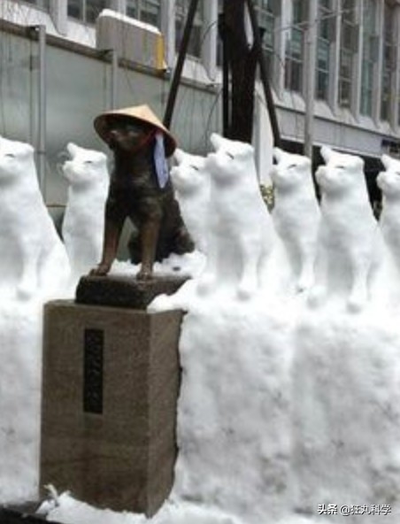 濡傛灉鍫嗛洩浜烘湁娈典綅,鍋囧鍫嗛洩浜烘湁娈典綅