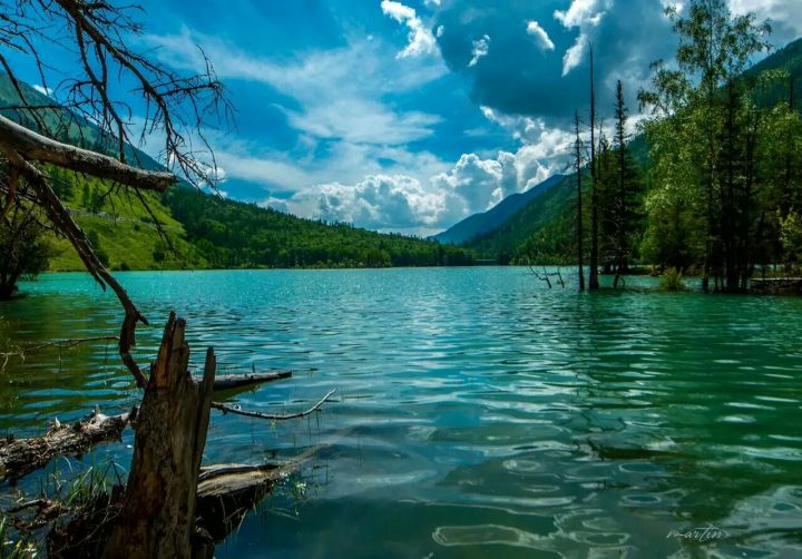 路边切糕为何这么贵,切糕为什么这么贵呢