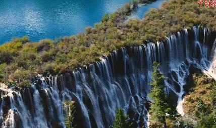 机票白菜价140元起全国各地出发,12月成都出发白菜价机票大全