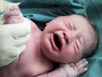 小朋友刚出生,刚出生的小孩样子